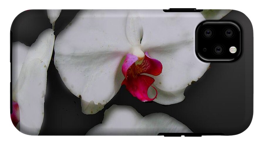 White and Pink Orchids - Phone Case