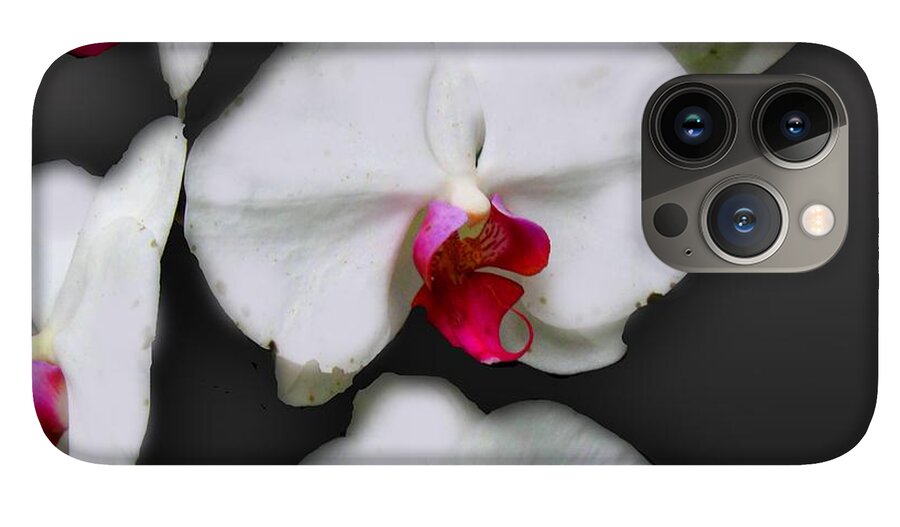 White and Pink Orchids - Phone Case