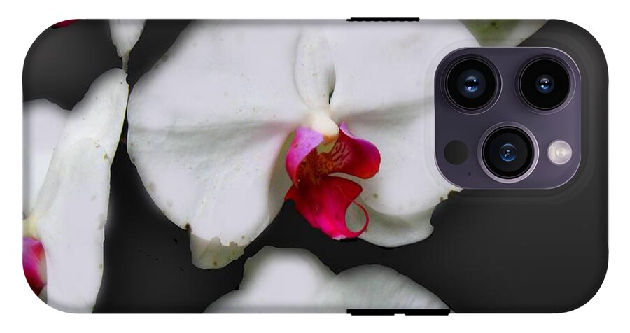 White and Pink Orchids - Phone Case