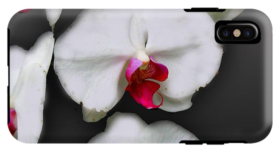 White and Pink Orchids - Phone Case