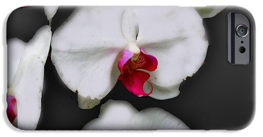 White and Pink Orchids - Phone Case