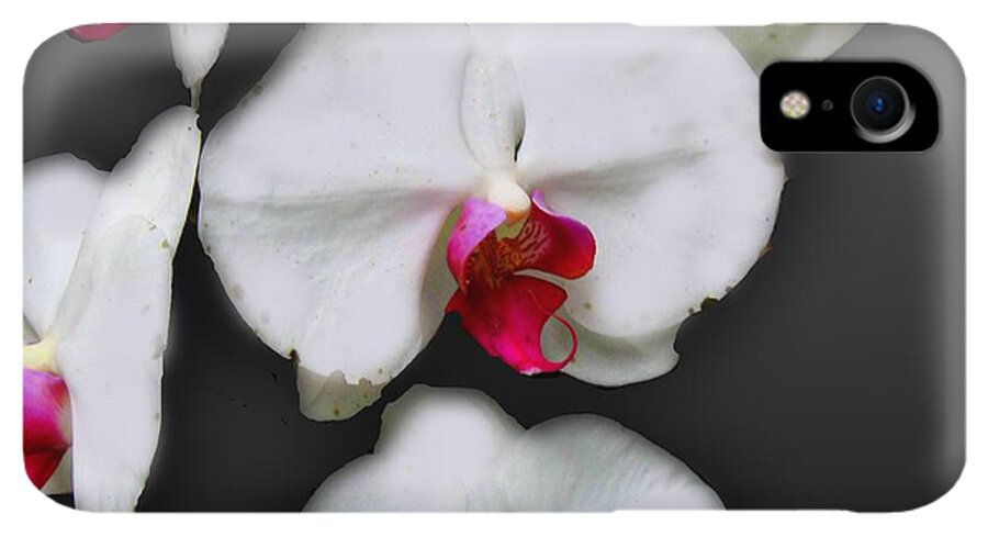 White and Pink Orchids - Phone Case