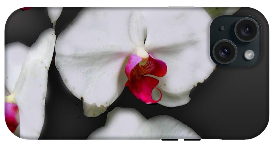 White and Pink Orchids - Phone Case
