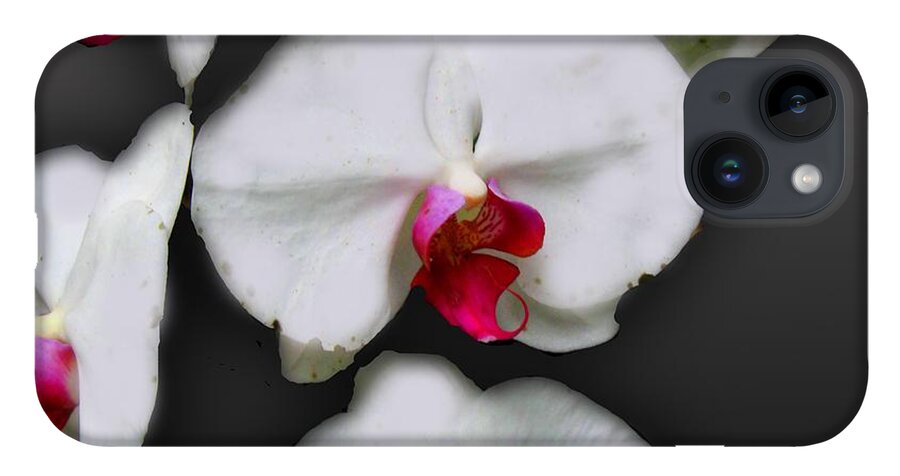 White and Pink Orchids - Phone Case