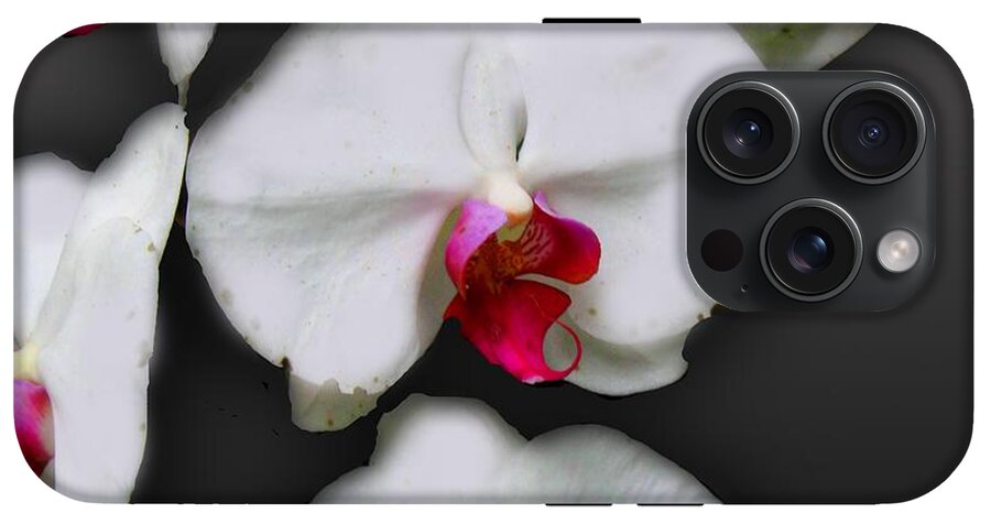 White and Pink Orchids - Phone Case