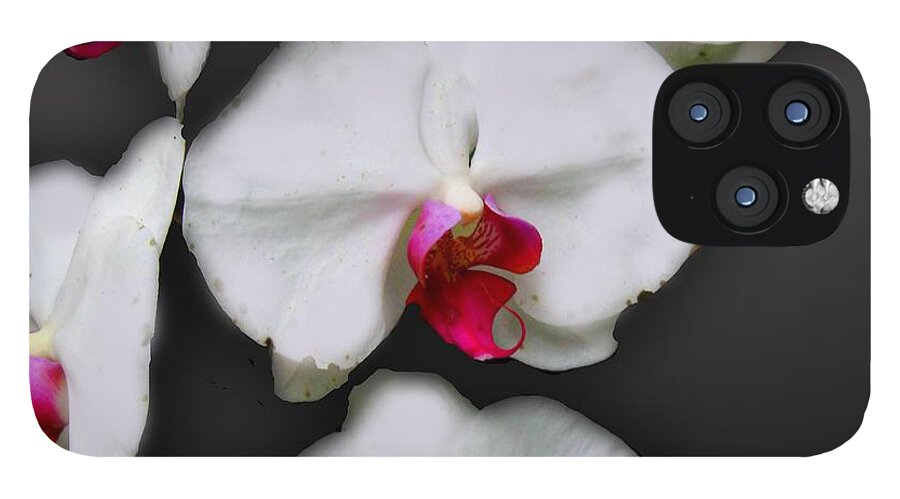 White and Pink Orchids - Phone Case