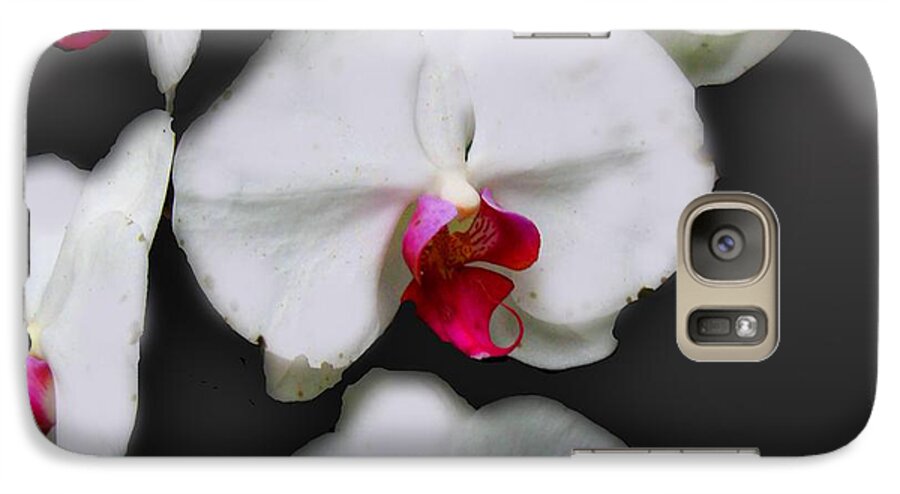 White and Pink Orchids - Phone Case