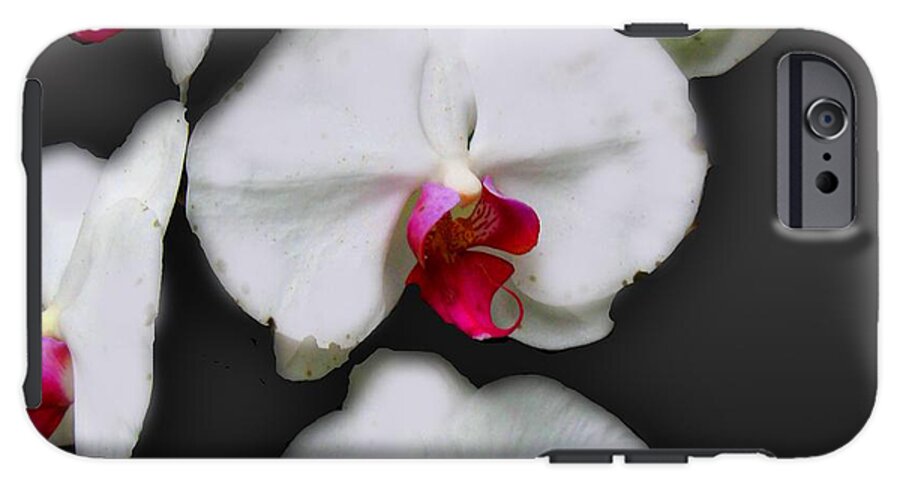 White and Pink Orchids - Phone Case