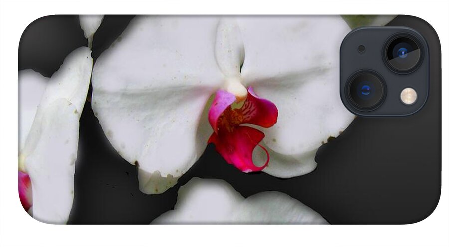 White and Pink Orchids - Phone Case