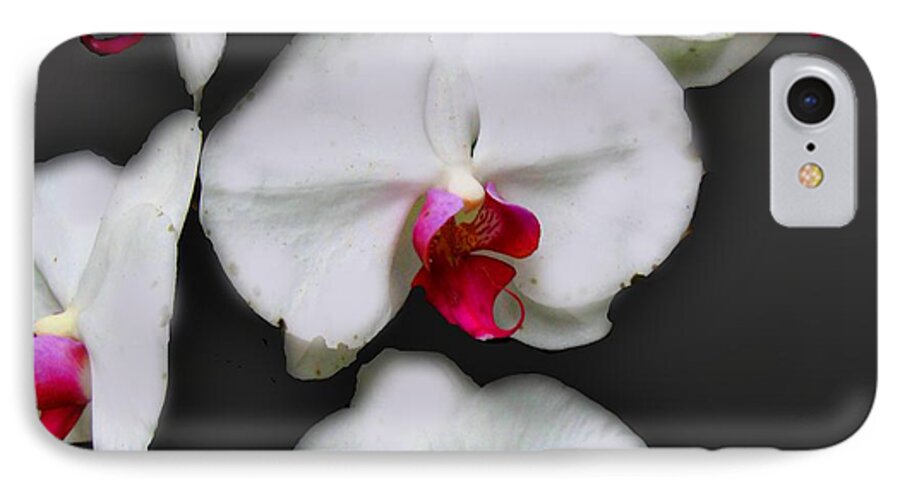 White and Pink Orchids - Phone Case