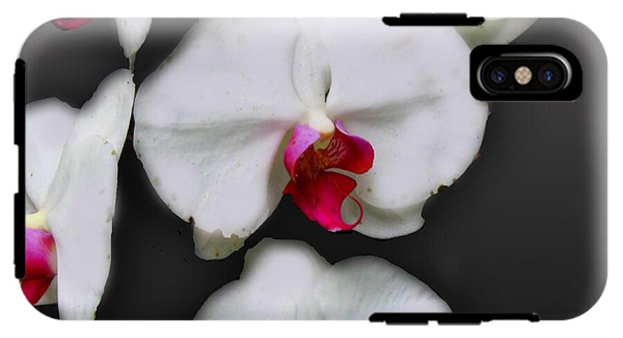 White and Pink Orchids - Phone Case