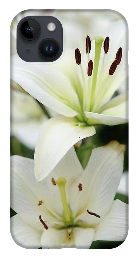 White Lilies - Phone Case