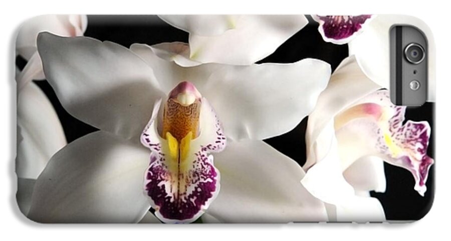 White Orchid Spray - Phone Case