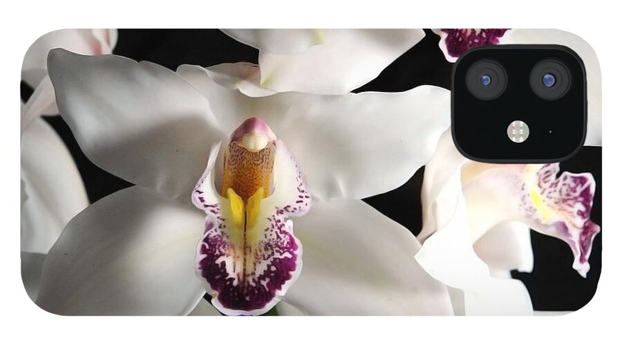 White Orchid Spray - Phone Case