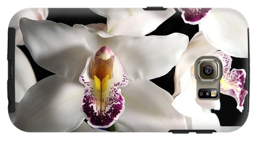 White Orchid Spray - Phone Case
