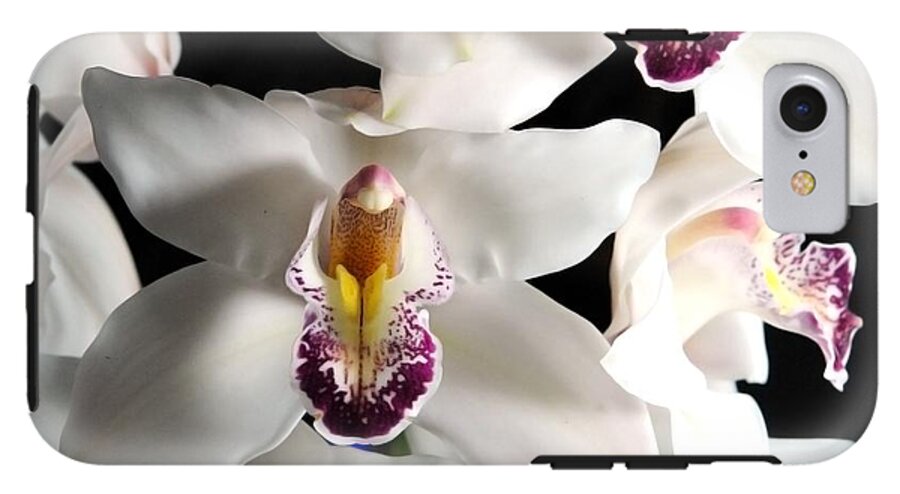 White Orchid Spray - Phone Case