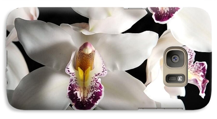 White Orchid Spray - Phone Case