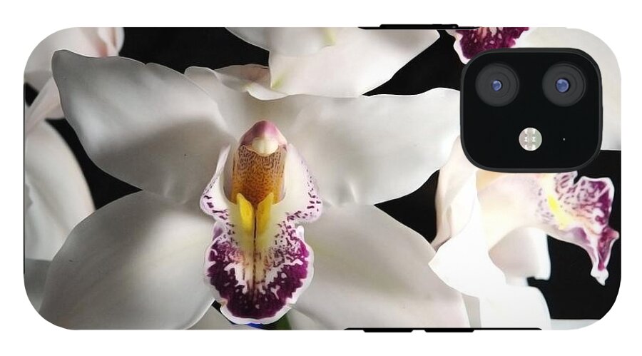 White Orchid Spray - Phone Case
