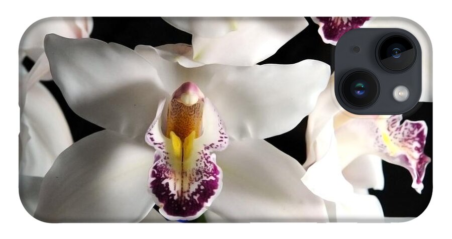 White Orchid Spray - Phone Case