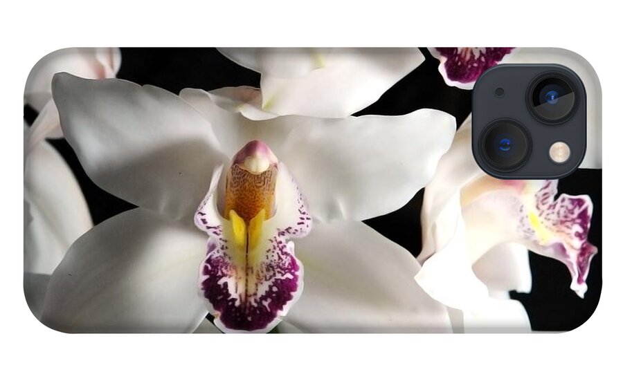White Orchid Spray - Phone Case