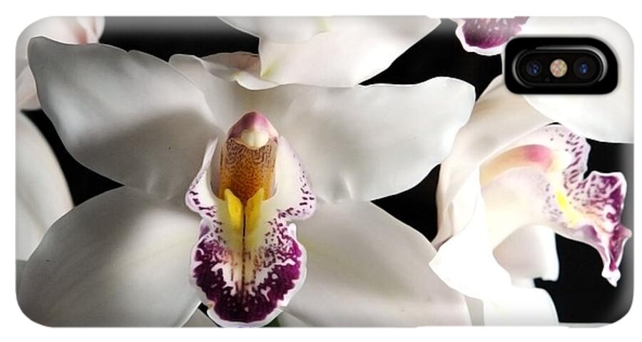 White Orchid Spray - Phone Case