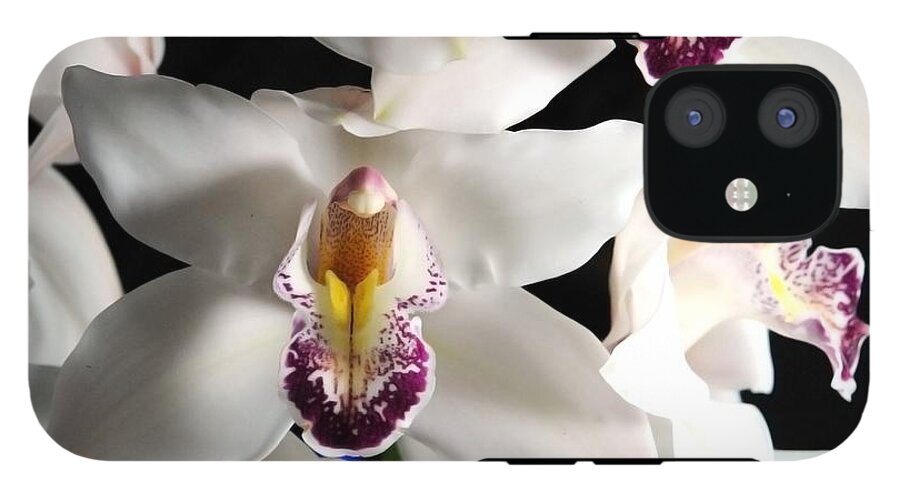 White Orchid Spray - Phone Case