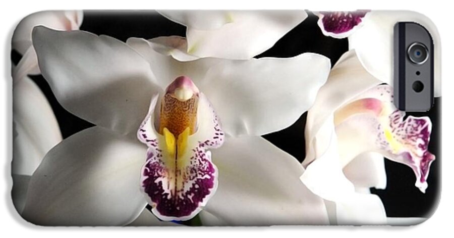White Orchid Spray - Phone Case