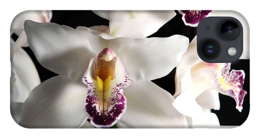 White Orchid Spray - Phone Case
