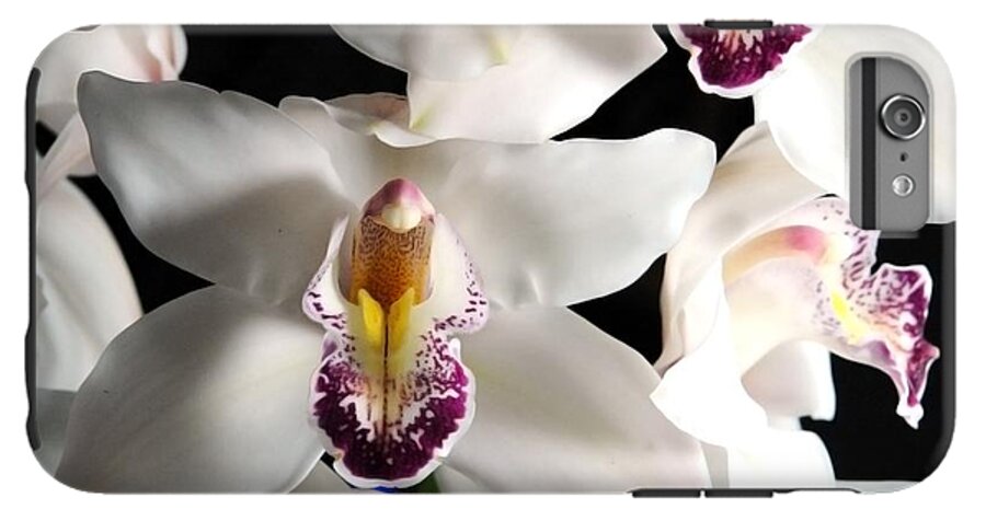 White Orchid Spray - Phone Case