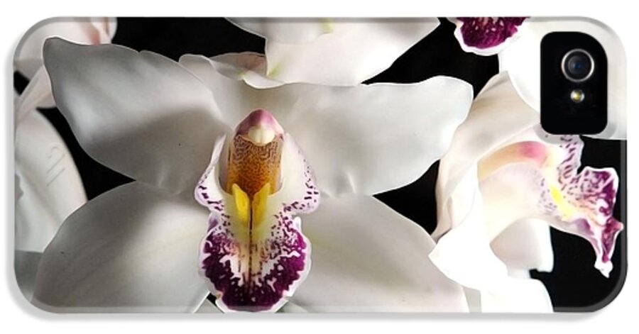 White Orchid Spray - Phone Case