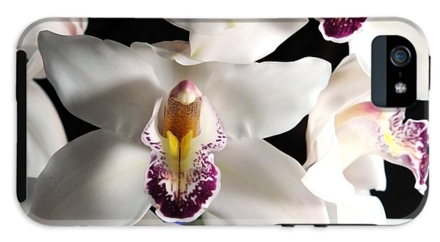 White Orchid Spray - Phone Case
