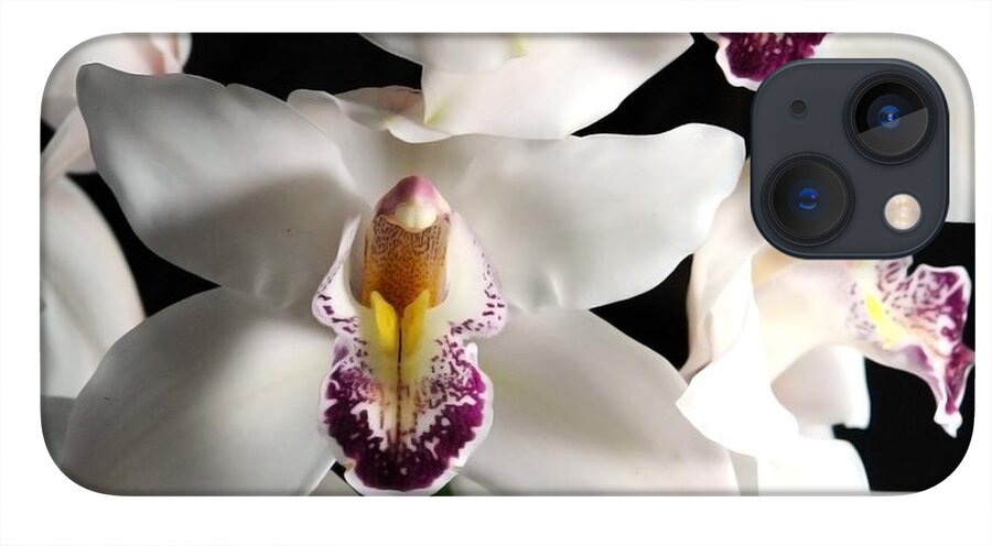 White Orchid Spray - Phone Case
