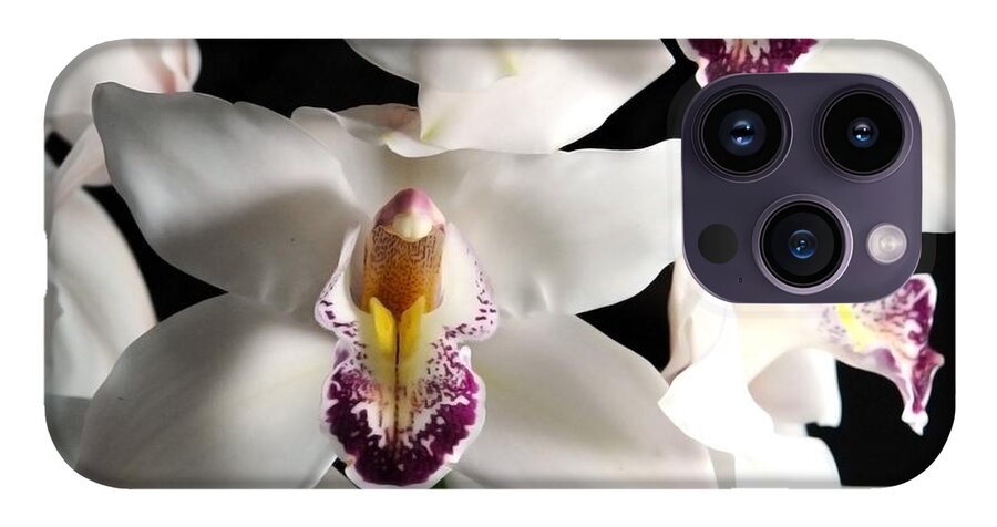 White Orchid Spray - Phone Case