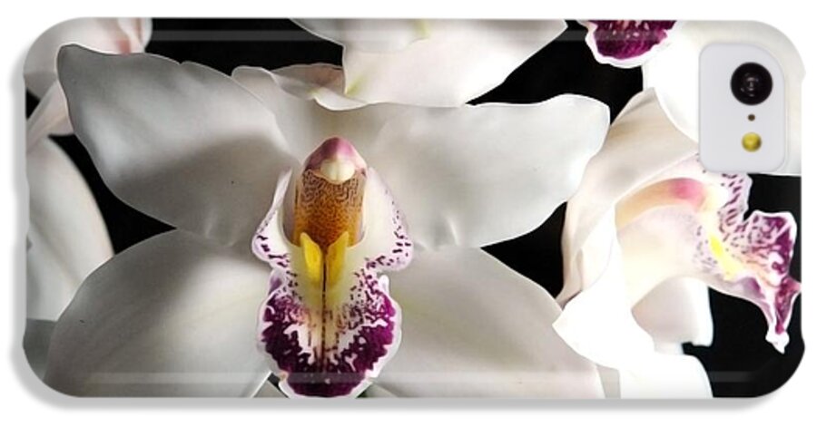 White Orchid Spray - Phone Case