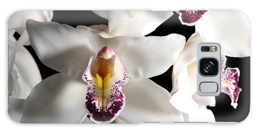 White Orchid Spray - Phone Case