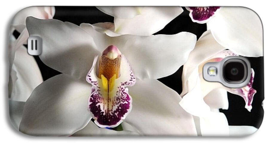 White Orchid Spray - Phone Case
