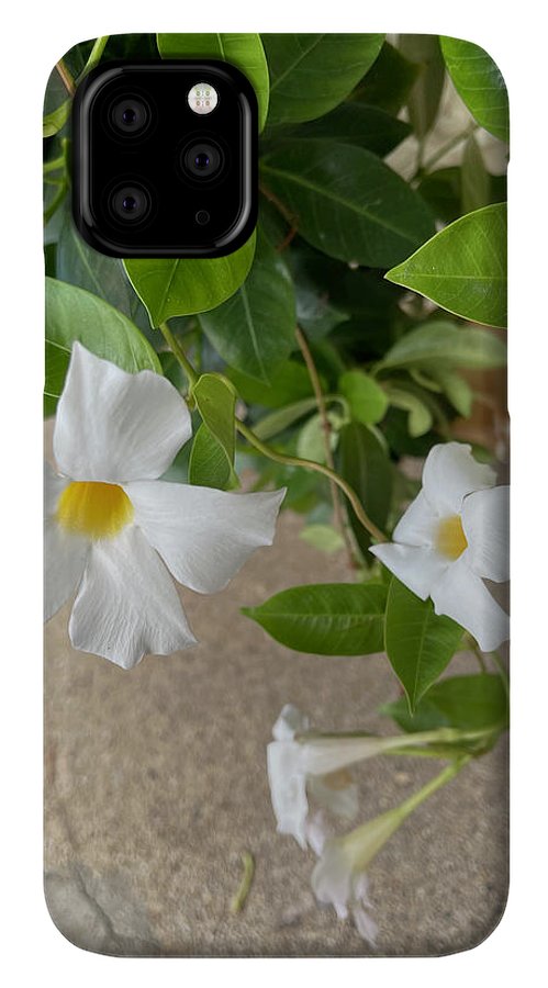 White Sidewalk Flower - Phone Case