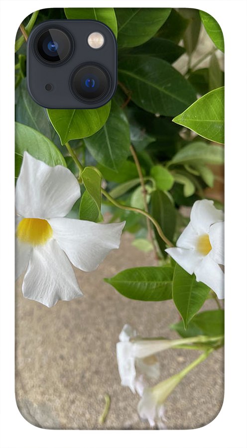 White Sidewalk Flower - Phone Case