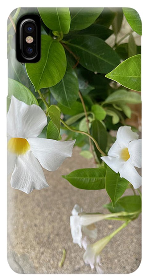 White Sidewalk Flower - Phone Case