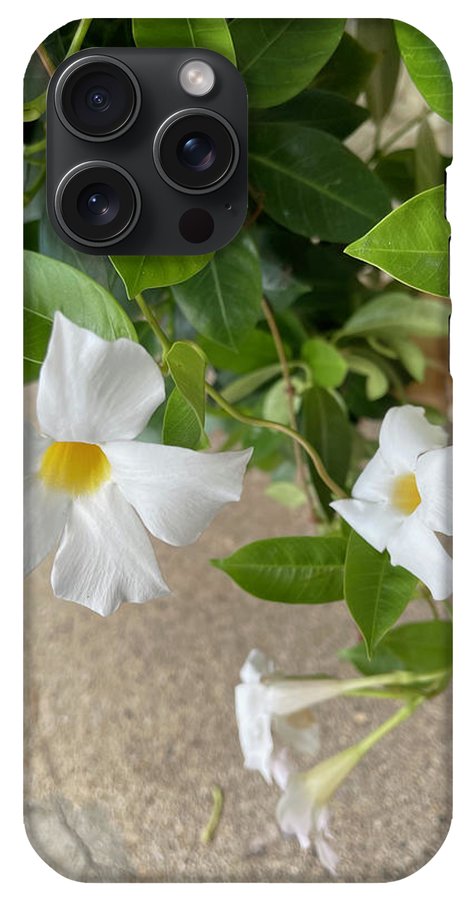 White Sidewalk Flower - Phone Case
