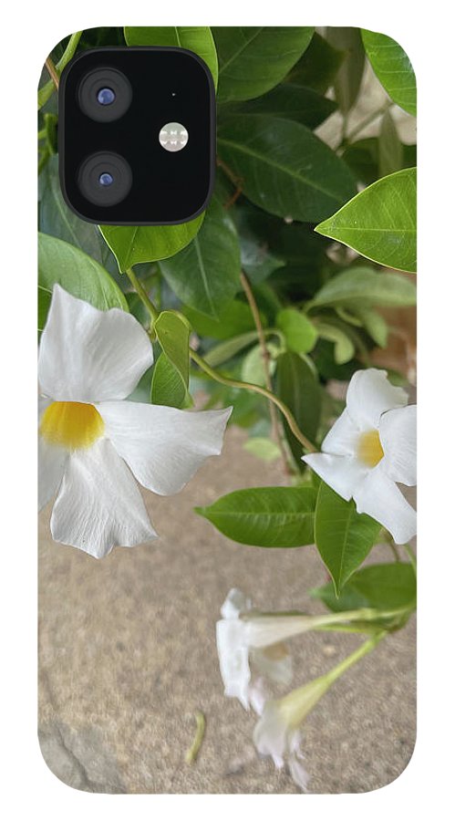 White Sidewalk Flower - Phone Case