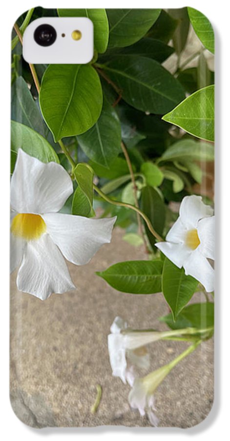 White Sidewalk Flower - Phone Case