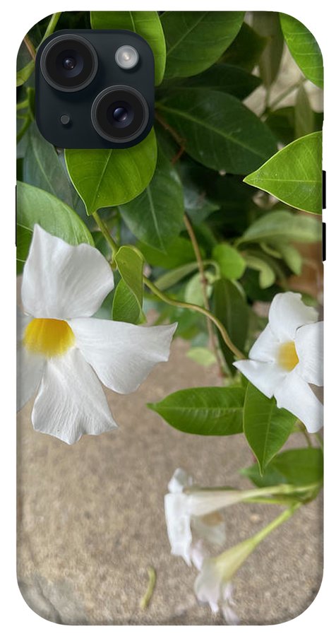 White Sidewalk Flower - Phone Case