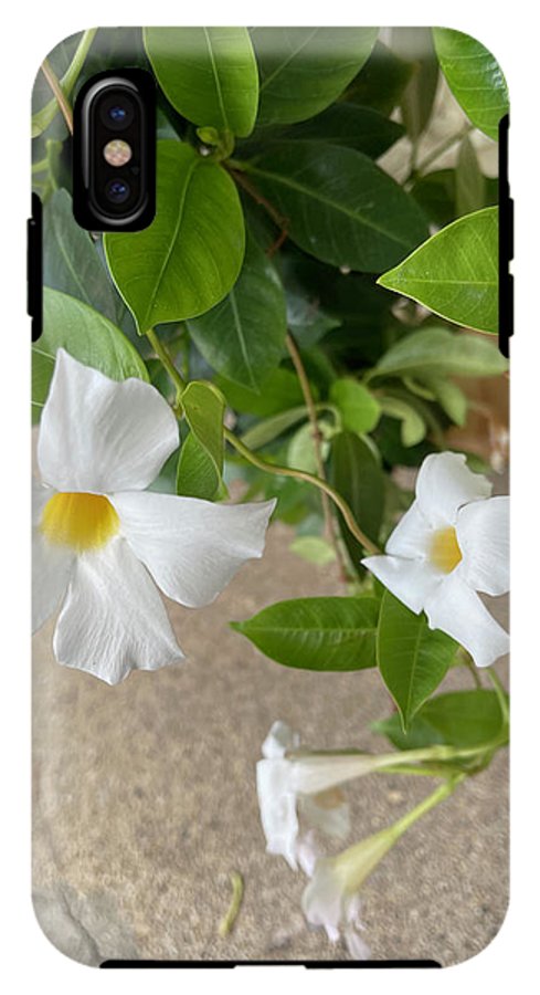 White Sidewalk Flower - Phone Case