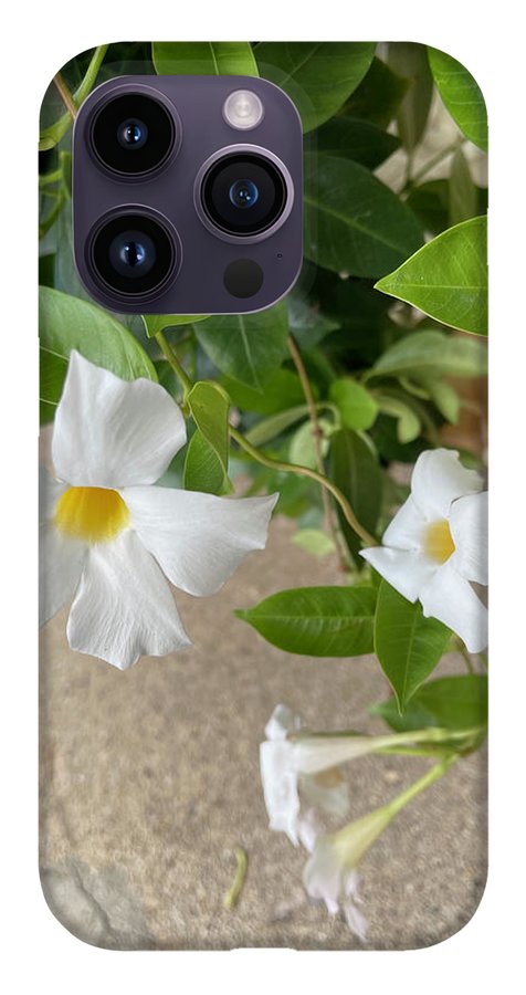 White Sidewalk Flower - Phone Case