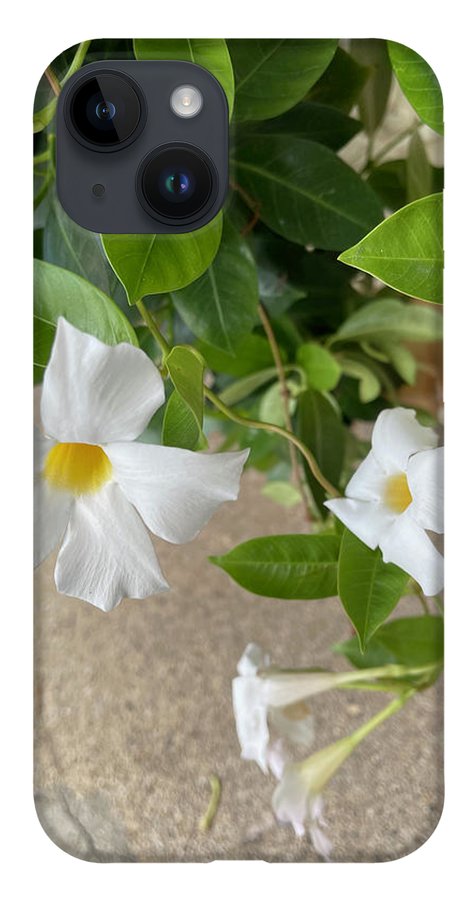 White Sidewalk Flower - Phone Case