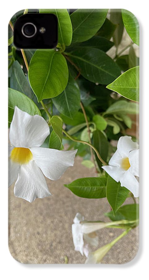White Sidewalk Flower - Phone Case