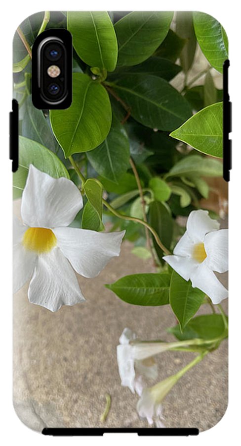 White Sidewalk Flower - Phone Case