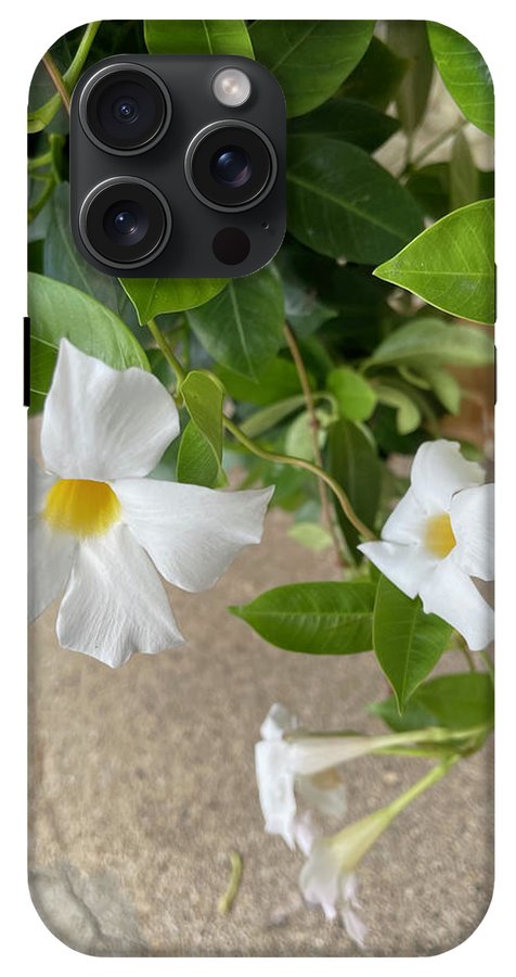 White Sidewalk Flower - Phone Case
