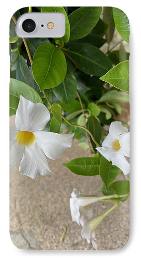 White Sidewalk Flower - Phone Case